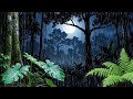 🔴 Live 🌿 Rain Forest Night Ambience For Deep Sleep Meditation Relaxation Peaceful Bedtime Comfort