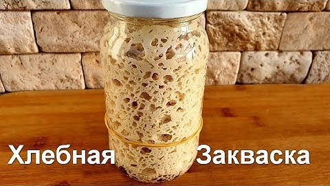 Закваска для Хлеба на Винограде с Нуля | Пшеничная закваска Левито Мадре Пошаговый Рецепт