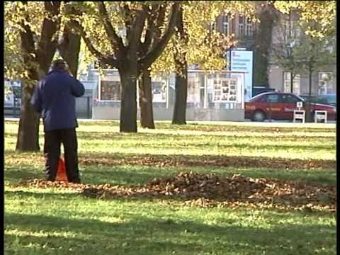 Video: 10 Ankilozinio Spondilito Natūralių Gydymo Būdų: Mankšta Ir Kita