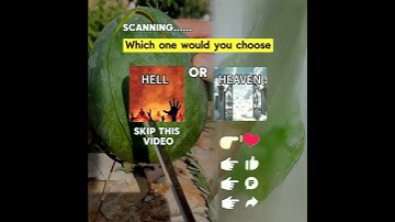 #CapCut so calming #trending #funny #comedy processed speed1 1x