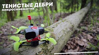 Микросинематик 4K. Тенистые дебри майского леса.