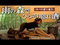 秘密の キャンプ場【 雨キャンプ 】ひっそり楽しむ アラサーの休日