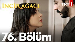 İncir Ağacı 76 Bölüm