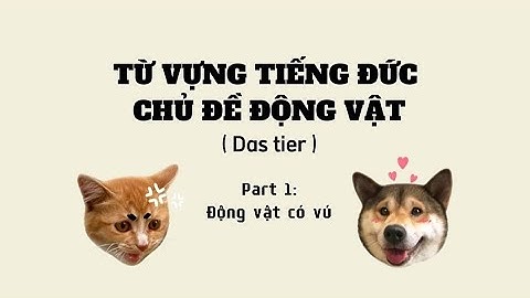 Từ vựng tiếng Đức chủ đề Động Vật ~ Past1: Động vật có vú ~ German0501