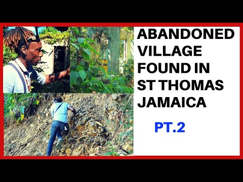 ABANDONED VILLAGE FOUND IN ST THOMAS, JAMAICA (Jones Pen Pt 2)