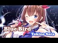 [Tokino Sora] - ブルーバード (Blue Bird) / Ikimono-gakari