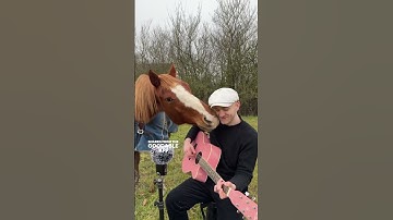 Thumbnail of This Musician Sings to Animals and They Have The Most Beautiful Reaction #shorts
