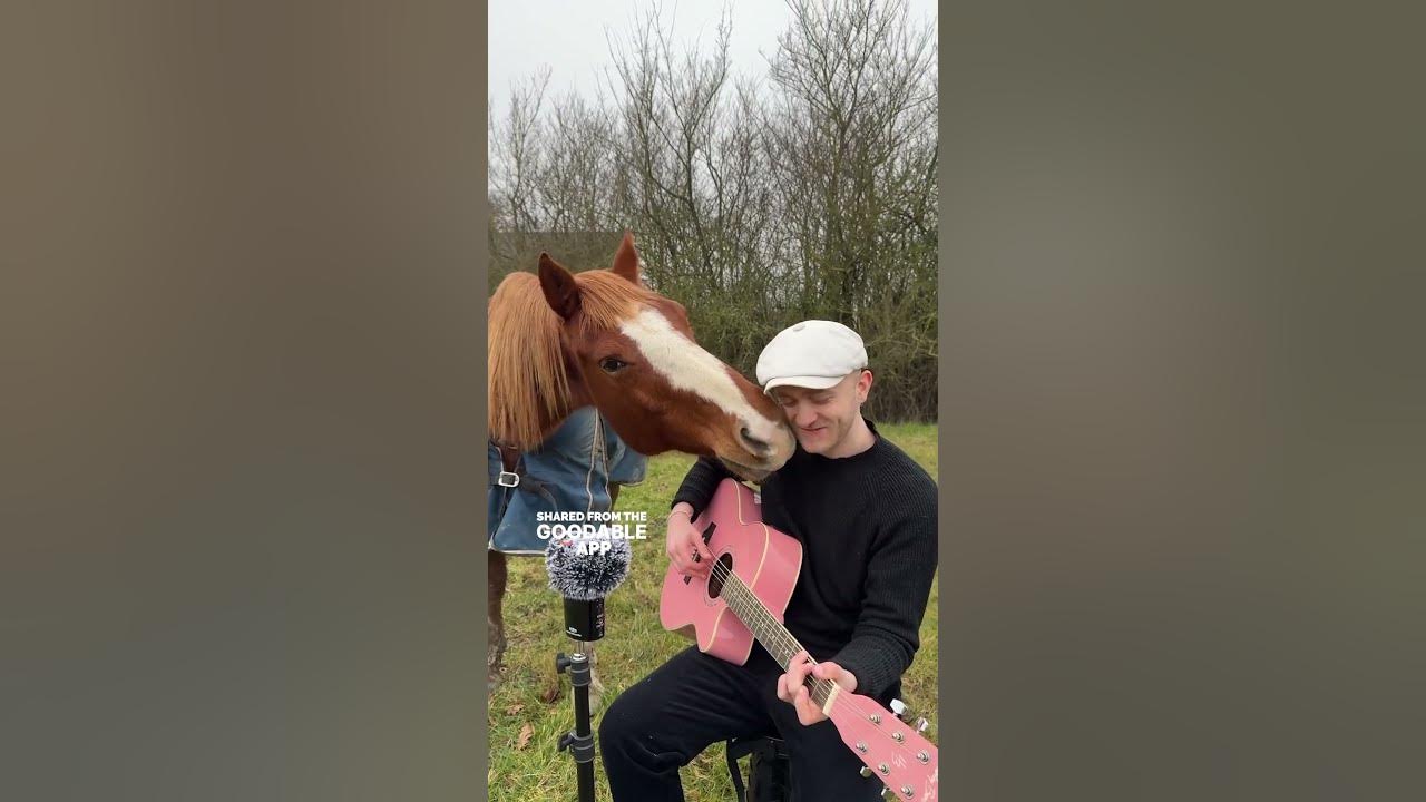 This Musician Sings to Animals and They Have The Most Beautiful Reaction #shorts This Musician Sings to Animals and They Have The Most Beautiful Reaction #shorts