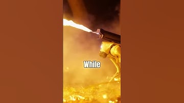 Why This Robot Dog Could Replace Delivery Guys!