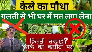 एक पौधा रातों-रात बदल दे किस्मत banana plant benefits, should I have banana plant in my house, Vastu