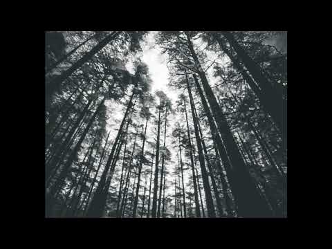 As Above, So Below - Vilakshan Kandwal