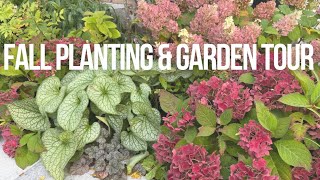 October 2026 Mini Garden Tour + Fall Planting: Hellebore & Daffodils! 🍂✨