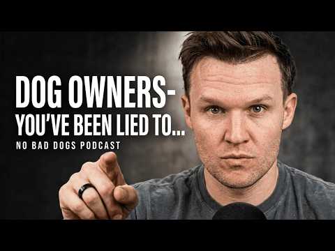 DirtyDogLinks: Everything You Didn't Know