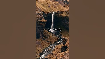 وَمَن يُطِعِ اللَّهَ وَرَسُولَهُ | سورة النساء | علي جابر