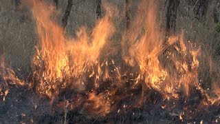Arizona officials to discuss outlook of upcoming wildfire season
