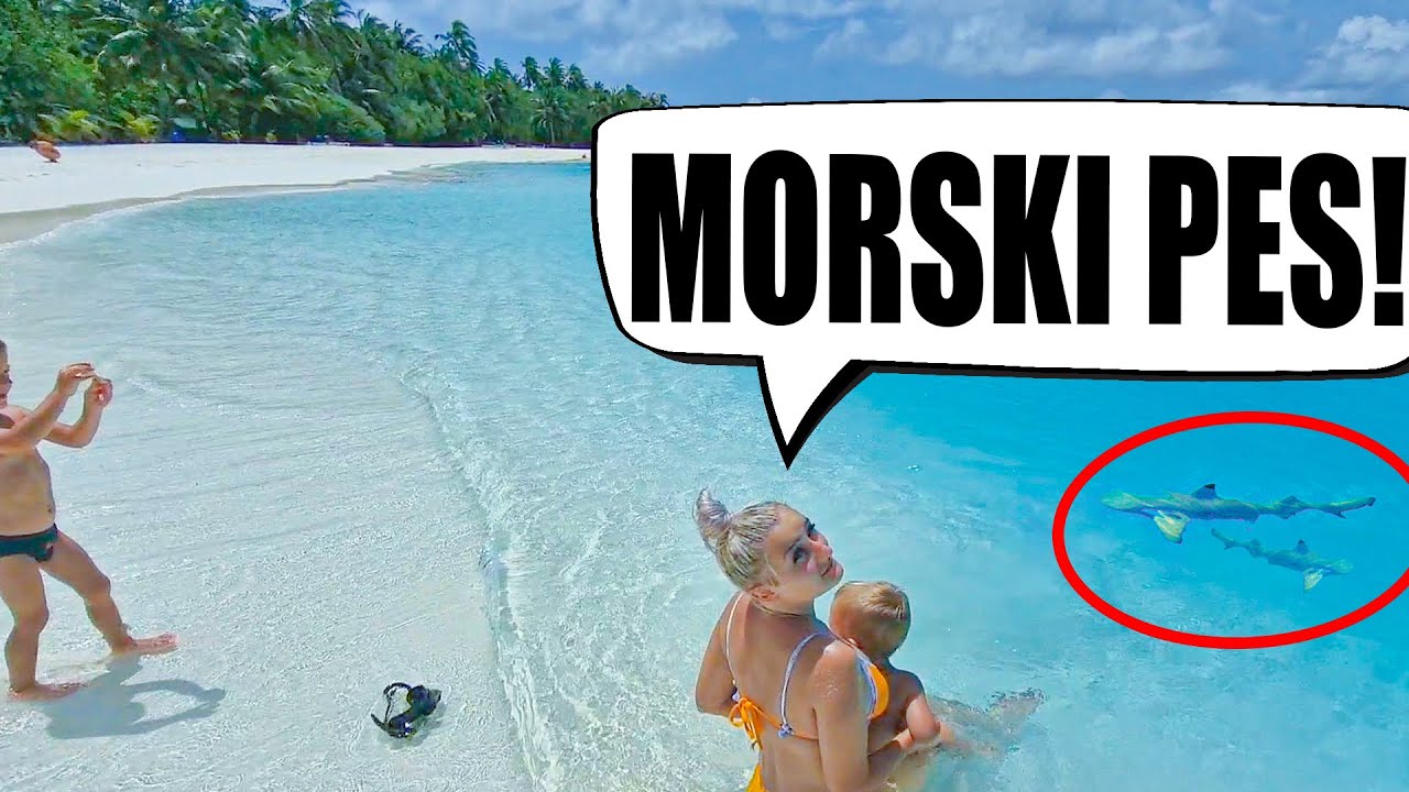 Na MALDIVIH Me Je Napadel MORSKI PES!!!!!!!!!!!!!
