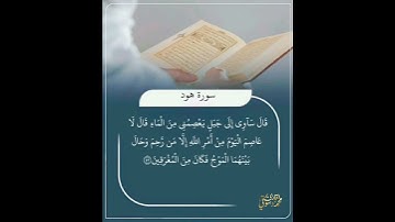 سورة هود #قرآن_كريم