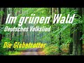 Im grünen Wald - Die Globetrotter