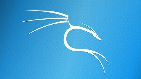 Exploit distccd service on metasploit2 using kali linux