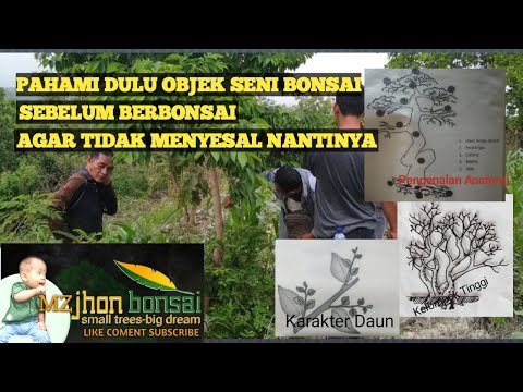 LEARN BASIC BONSAI 1 | Introduction to Bonsai Art Medium