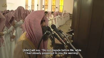 تلاوة خاشعة و هادئة - القارئ محمد اللحيدان || Mohammed Alluhaidan