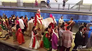 One of our baraat horses during a wedding under the david l lawrence
convention center (heading to westin hotel) in pittsburgh, pa on
8-26-17. let your h...