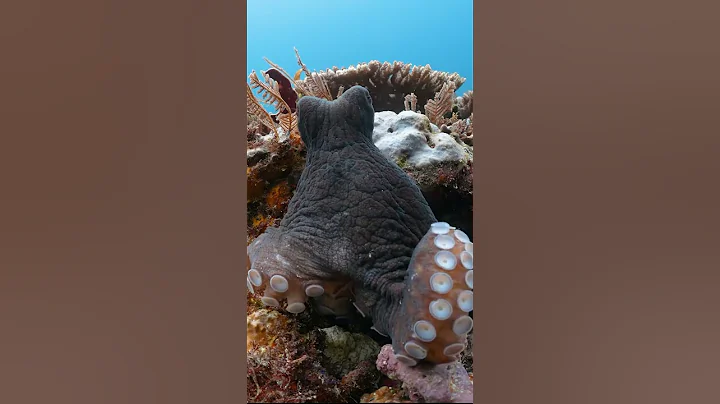 This Tickled My Brain