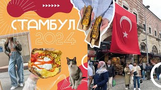 : VLOG: 2024 | , ,  |  ?