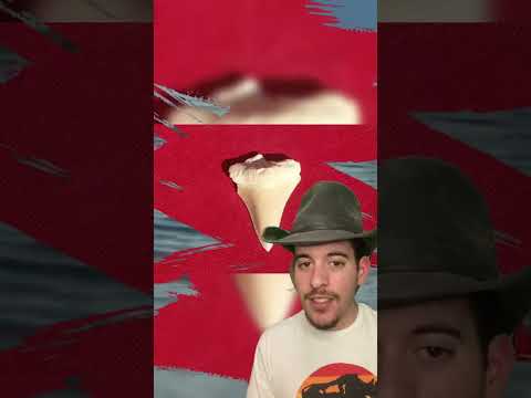 Τεράστιοι ΛΕΥΚΟΙ ΚΑΡΧΑΡΙΕΣ