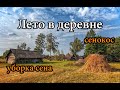 ЛЕТО В ДЕРЕВНЕ. СЕНОКОС. УБОРКА СЕНА. Деревенские будни #21