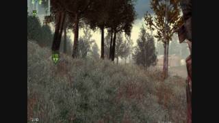 CoD MW2 Speedhack