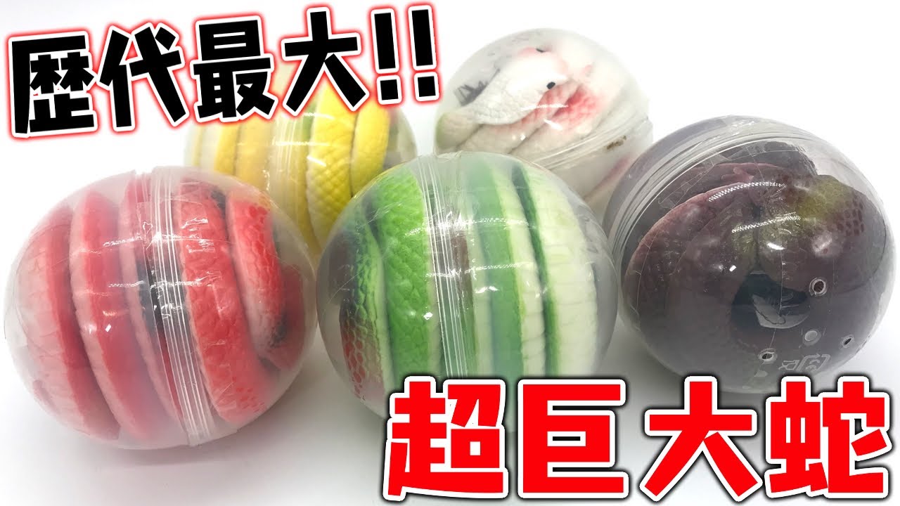 The biggest ever! Super big snake gachapon! All 5 types unboxing