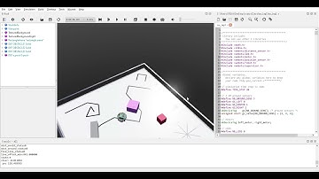 webots video