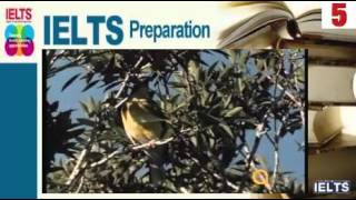 Study English- IELTS Preparation Series 1- Episode 5- Global Warning