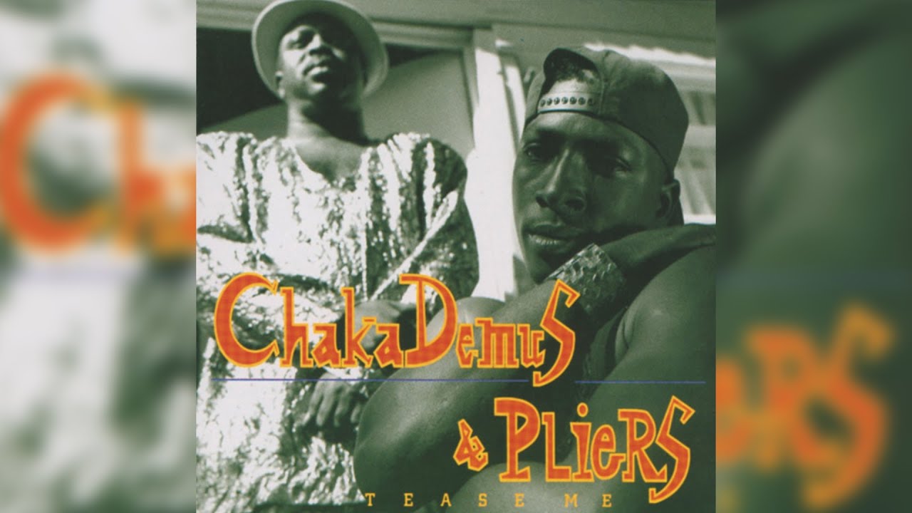 🔥 BEST OF CHAKA DEMUS AND PLIERS {MURDER SHE WROTE, TEASE ME, PITTA PATTA} - KING JAMES