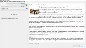 SEnuke TNG SEO Wizard & Turbo Wizard