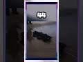 شاهد ذكاء الروبوت
