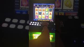 Money Bear's 💰🐻💰 🐻💰 🐻 free spins. screenshot 5