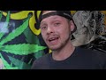 YELLOWING CANNABIS LEAVES? One of These Things is Causing It!