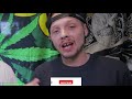 YELLOWING CANNABIS LEAVES? One of These Things is Causing It!