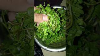Asiatic pennywort with baby potato fry recipe
