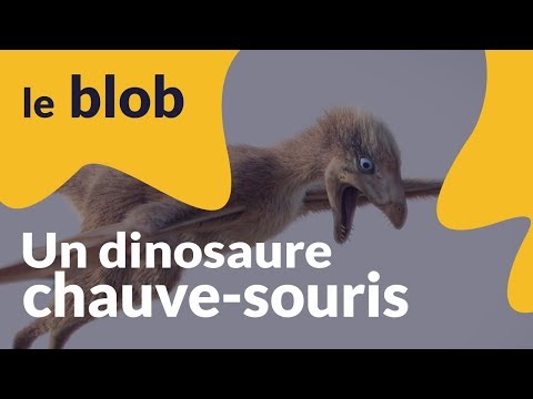 Vidéo: Evolution A Mené Une Expérience En Créant Un Dinosaure Avec Des Ailes De Chauve-souris - Vue Alternative