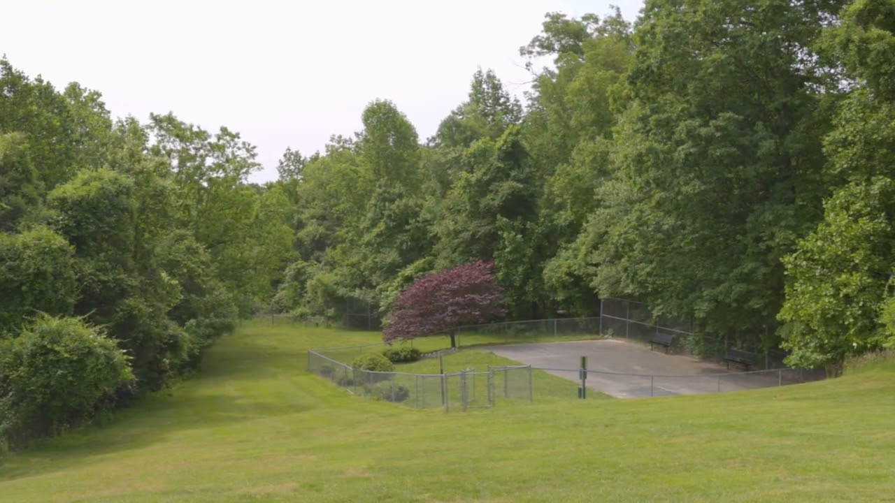 Let Your Dog Run Free at Our Fenced-In Dog Park