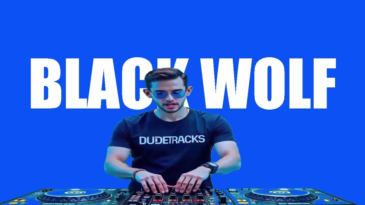 BLACK WOLF Free Download! No Copyright Music @DUDETRACKS