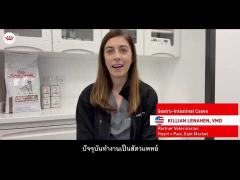 Vet Acceleration Series : : Gastrointestinal by Dr.Killian-Teaser