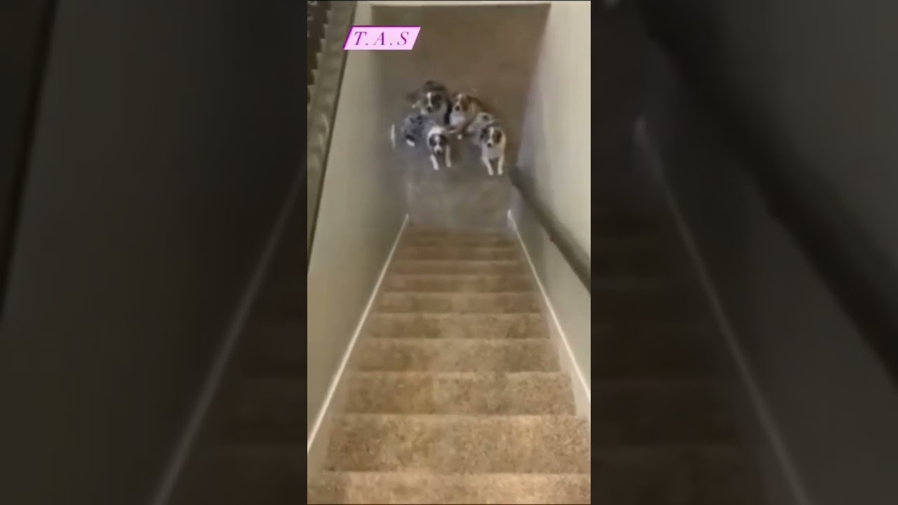 Sandrim rider ,ML rider , Hagai rider Motobarg  ,Gh motovlog , subam vlog, 🤣🤣🤣