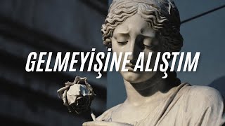 Dj Anatolia - Gelmeyişine Alıştım