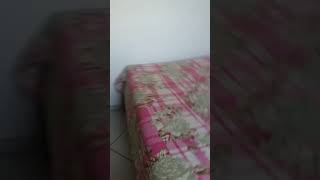 Fui Tentar Fazer O Meme De Atravessar Parede Mais Deu Tudk Erride