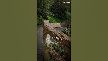 سوره الاخلاص #explore #اكسبلور #تيك_توك #قرآن #راحة_نفسية #لايك #ترند