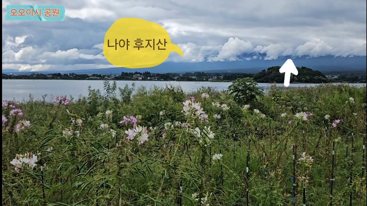 9월 도쿄 마지막 - 아부지 칠순(후지산 투어, 오가와, 야마카사카바, 쇼핑)